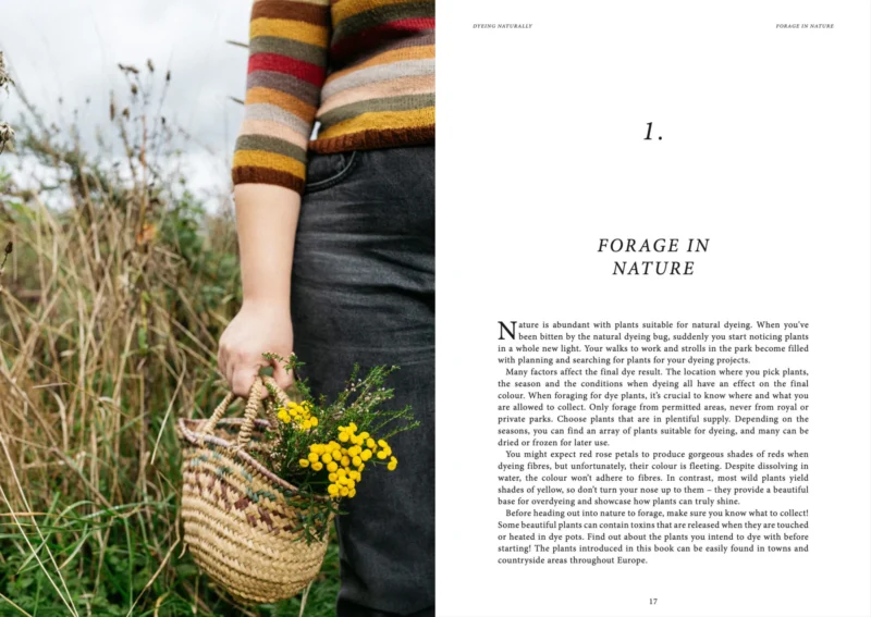 Dyeing Naturally - Image 8