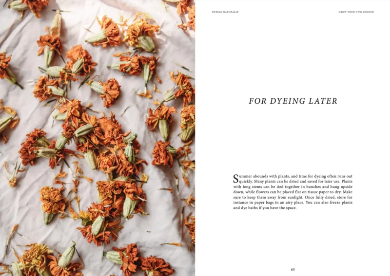 Dyeing Naturally - Image 5